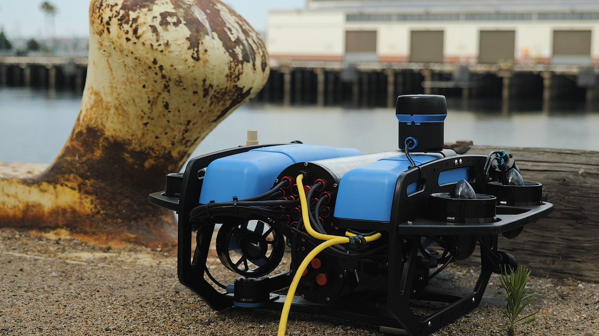 servrov tweet picture
