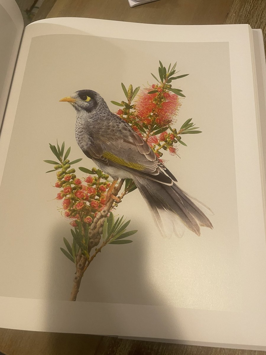 timbawden's tweet photo. My mate Greg made a book - truely one of the most beautiful things I have ever seen #birding https://t.co/ED5CwAKy0f