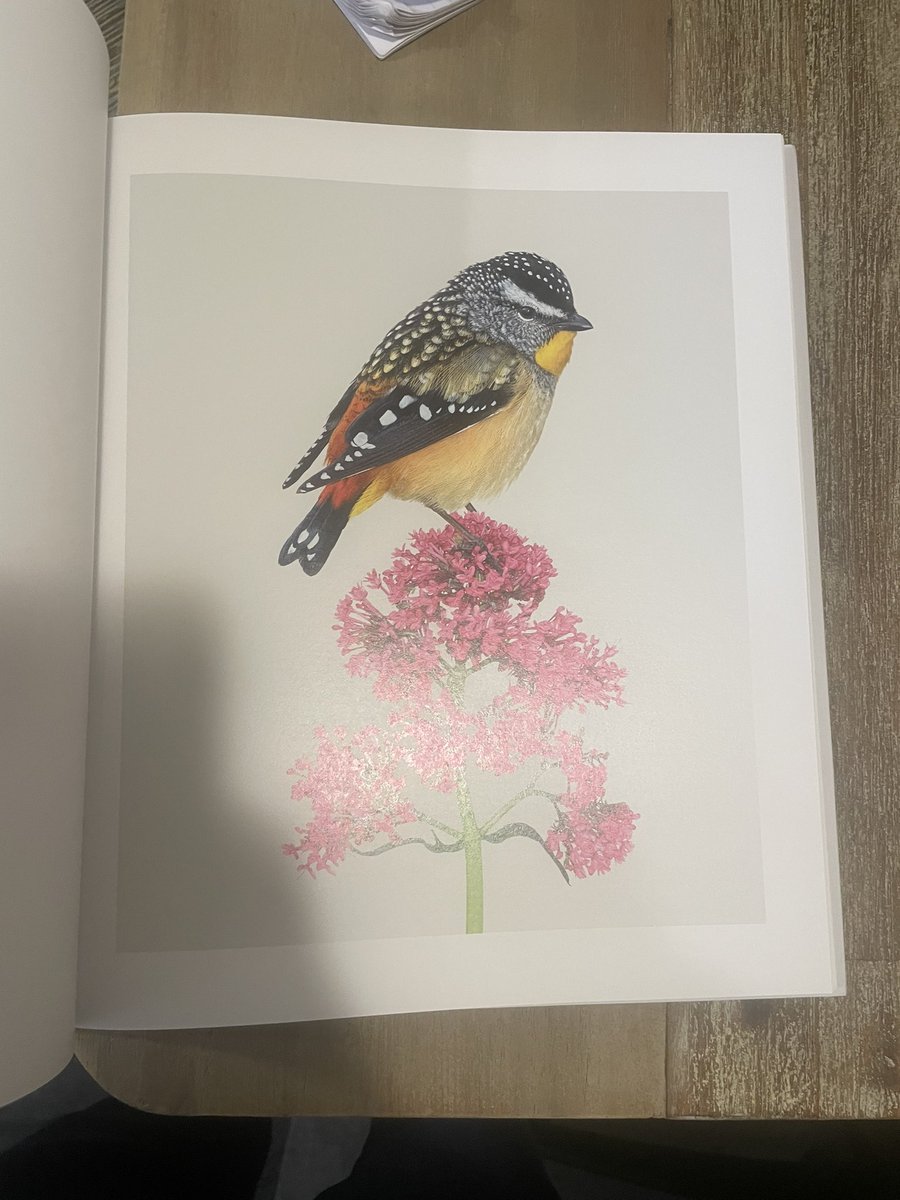timbawden's tweet photo. My mate Greg made a book - truely one of the most beautiful things I have ever seen #birding https://t.co/ED5CwAKy0f