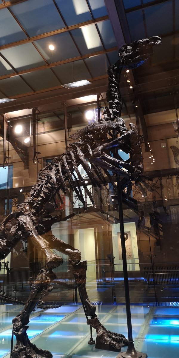 FactChecknMate's tweet photo. Best conference location and goodies ever?
I can't wait the after talk visit of the @RBINSmuseum 🤩 https://t.co/gdI5OSPX0R