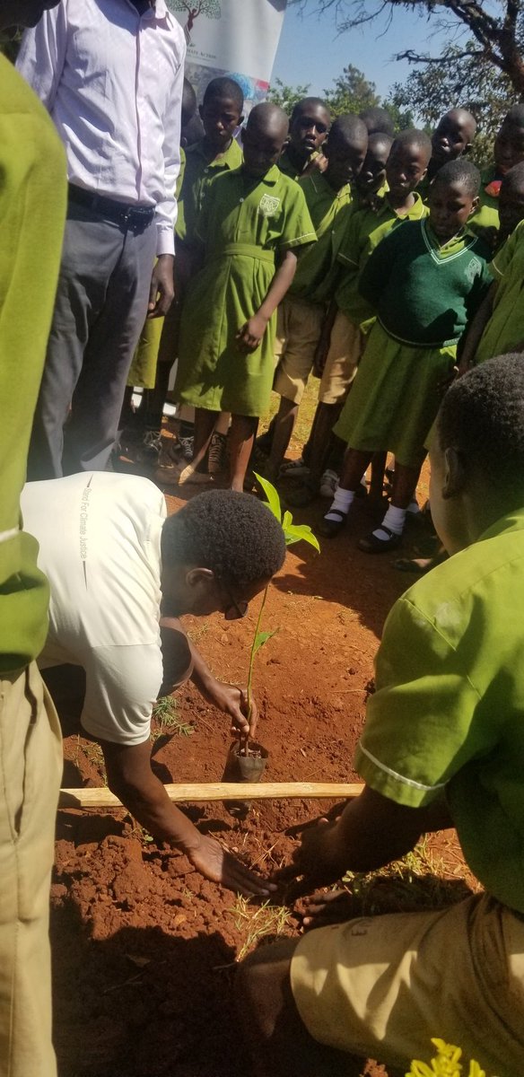 G4ClimateAction's tweet photo. P.7 candidate Environmentalists  at #WalukubaWest Primary School, Jinja planting their #PLETREE 
Creating an enviromental memory for P.7 Class 2022. https://t.co/NaWcypufHH