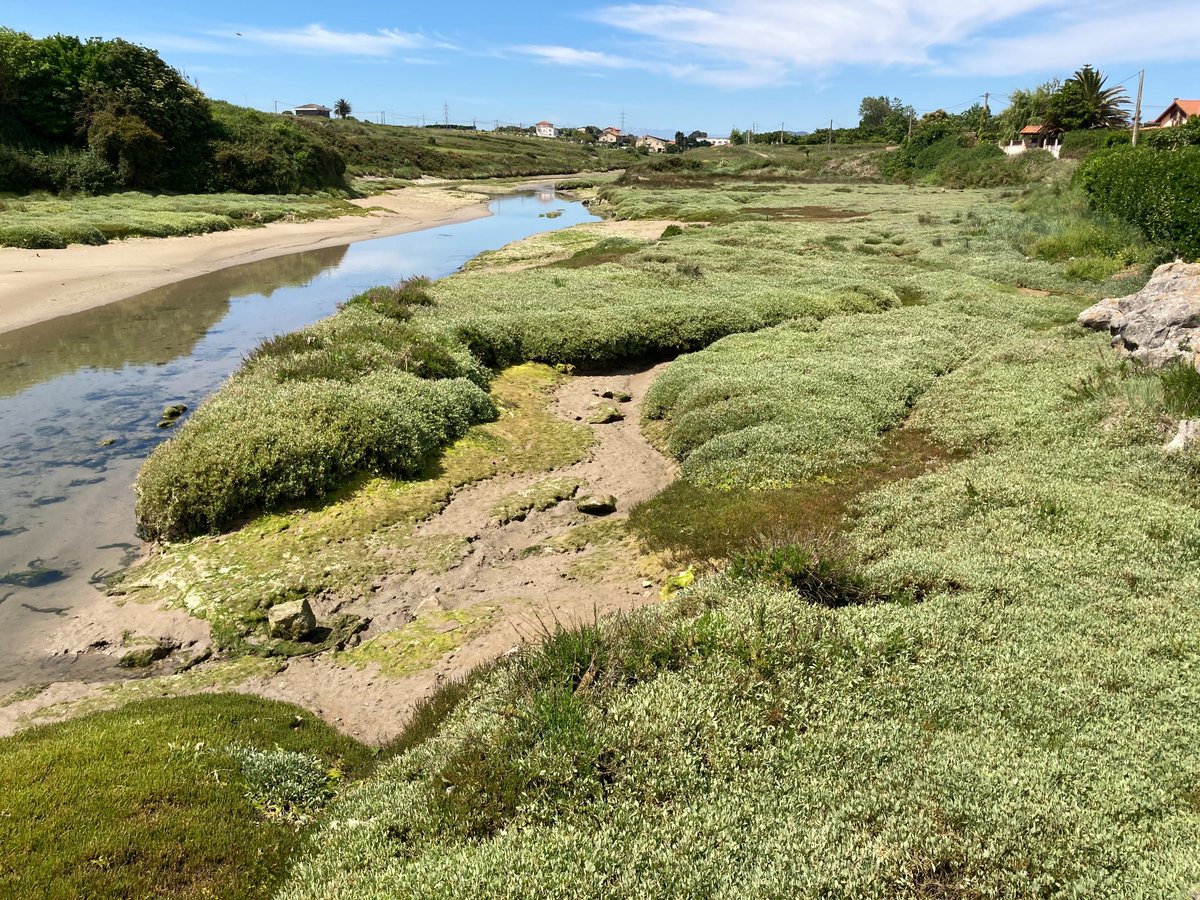 phisi's tweet photo. En @IHCantabria están buscando 2 personas interesadas en hacer su tesis doctoral en el grupo de #Ecosistemas Litorales. Dejo por aquí toda la info: https://t.co/NsjgwE8IA2 https://t.co/K4IimgHEKl