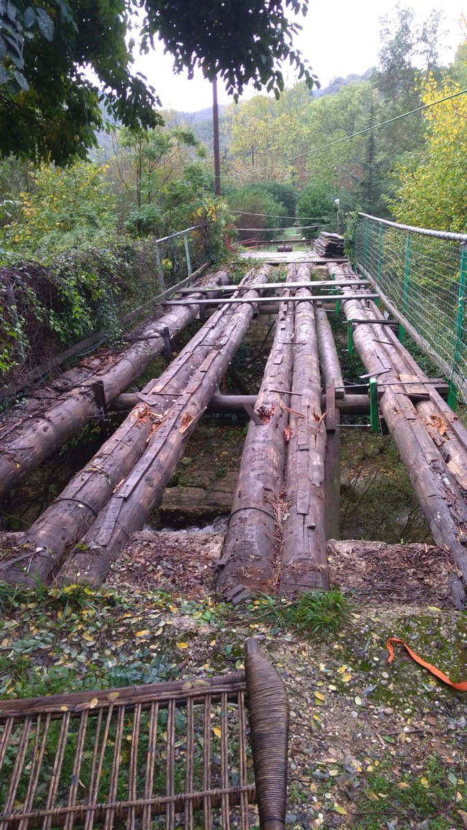 LaMessicole's tweet photo. At the moment rebuilding a 14 metre long x 3.5 m bridge. Support logs rotten. Hard to find  long straight chestnut trunks here, because .. it's chestnut production area! When raining I write articles on Substack . Muscles/intellect in total harmony 😆 https://t.co/ctzCWLOJ99 https://t.co/qv1PB9oTHK