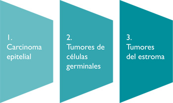 asociacionASACO's tweet photo. 💡Sabias Que 

💁Existen 3 tipos de #CáncerdeOvario: 

✅ #CarcinomaEpitelial: El más común, entre el 70-90% de todos los tumores ováricos 
✅ Tumores de células germinales 
✅Tumores del estroma: afectan a las células que producen las hormonas femeninas 
 https://t.co/L9Uje2ddfC https://t.co/N3bmizhaWt