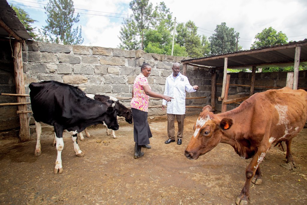 GALVmed's tweet photo. Foot and Mouth Disease is highly contagious and spreads quickly from animal to animal. #Biosecurity measures, surveillance and rapid reporting are key practices to control #FMD.
๐ Check our #FMDproject to develop suitable #vaccines against FMD: https://t.co/fI3vpLqVZC https://t.co/uw7qQFwIlV