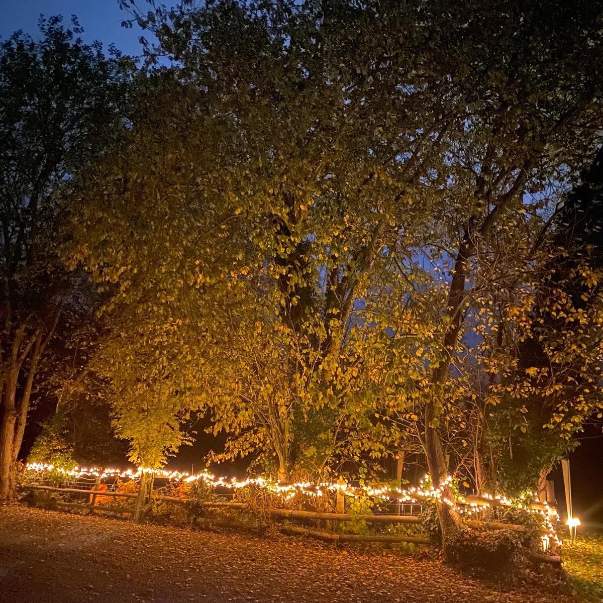 The Secret Walled Garden (@secret_wales) on Twitter photo Come and join us for our Christmas Event <a href="/Secret_Wales/">The Secret Walled Garden</a> on Dec 02nd or 03rd 4-8pm. Mulled Wine & Mince pies, roaring fire and lots of goodies. 🎄🌟🥧🍷 #monmouthshire #christmasevent #christmasevening Come and join us for our Christmas Event <a href="/Secret_Wales/">The Secret Walled Garden</a> on Dec 02nd or 03rd 4-8pm. Mulled Wine & Mince pies, roaring fire and lots of goodies. 🎄🌟🥧🍷 #monmouthshire #christmasevent #christmasevening
