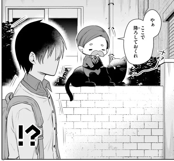 今回の見どころ 