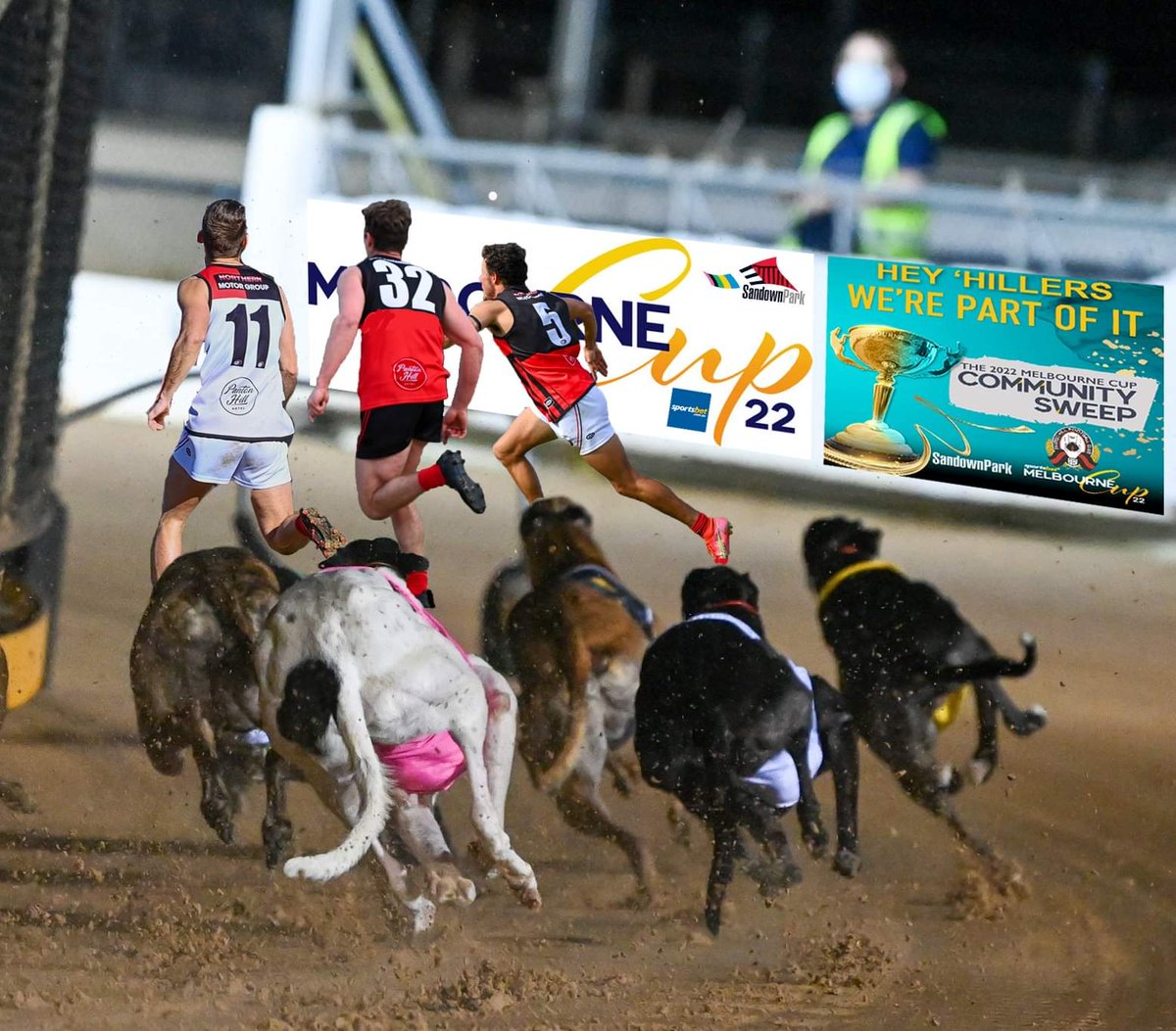 🏆 Great to see our Redbacks boys helping train the contenders for the <a href="/sandowndogs/">Sandown Greyhounds</a> Melbourne Cup on Nov. 26. We're part of the #ComminitySweep and can't wait to see who our racer is at #SandownPark