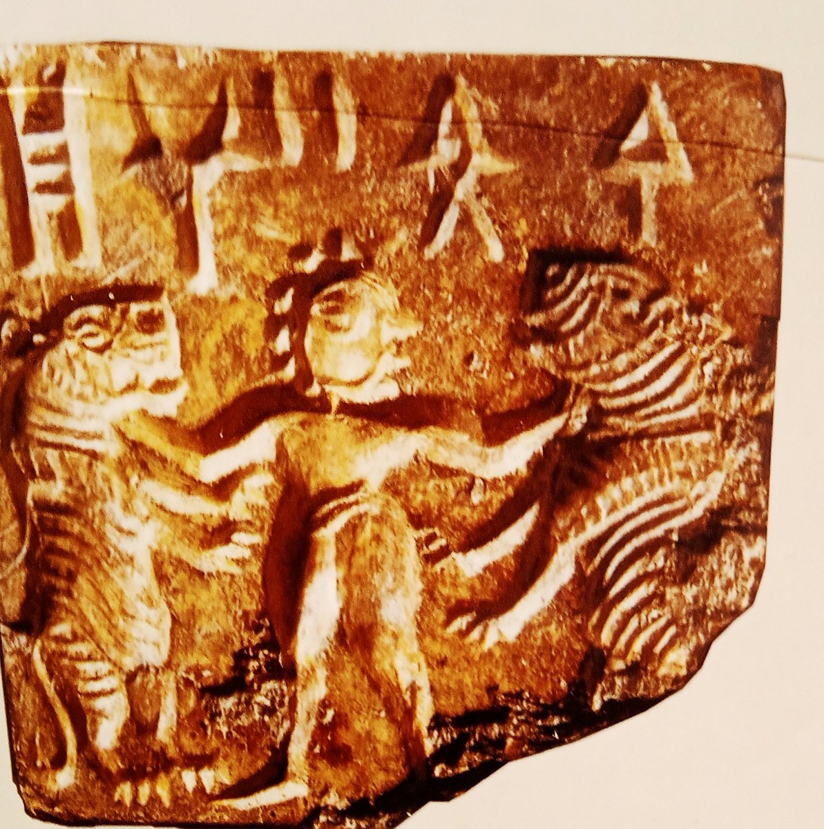 Gilgamesh seal, found from Mohan-Jo-Daro. This is a depiction of Gilgamesh, King of Uruk in c. 2600 BCE. Aa per the fragment of the story in Hittite, Gilgamesh was 16 feet tall & could fight with two tigers. The seal is presently at National Museum.
