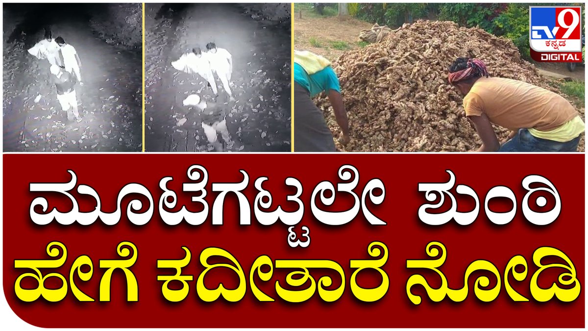 tv9kannada's tweet photo. Ginger crop theft Cctv: ಶುಂಠಿ ಬೆಳೆ ಕದ್ದು ಲಾರಿಯಲ್ಲಿ ಸಾಗಿಸುತ್ತಿರುವ ಕಳ್ಳರು, CCTVಯಲ್ಲಿ ದೃಶ್ಯ ಸೆರೆ |Tv9
Video Link https://t.co/QApFviqL6v
#Theft #Gingercrop #Lorry #CCTV #Theives #Mysuru, #Piriyapattana, #kannadanews #breakingnews https://t.co/OthLzh4bLJ