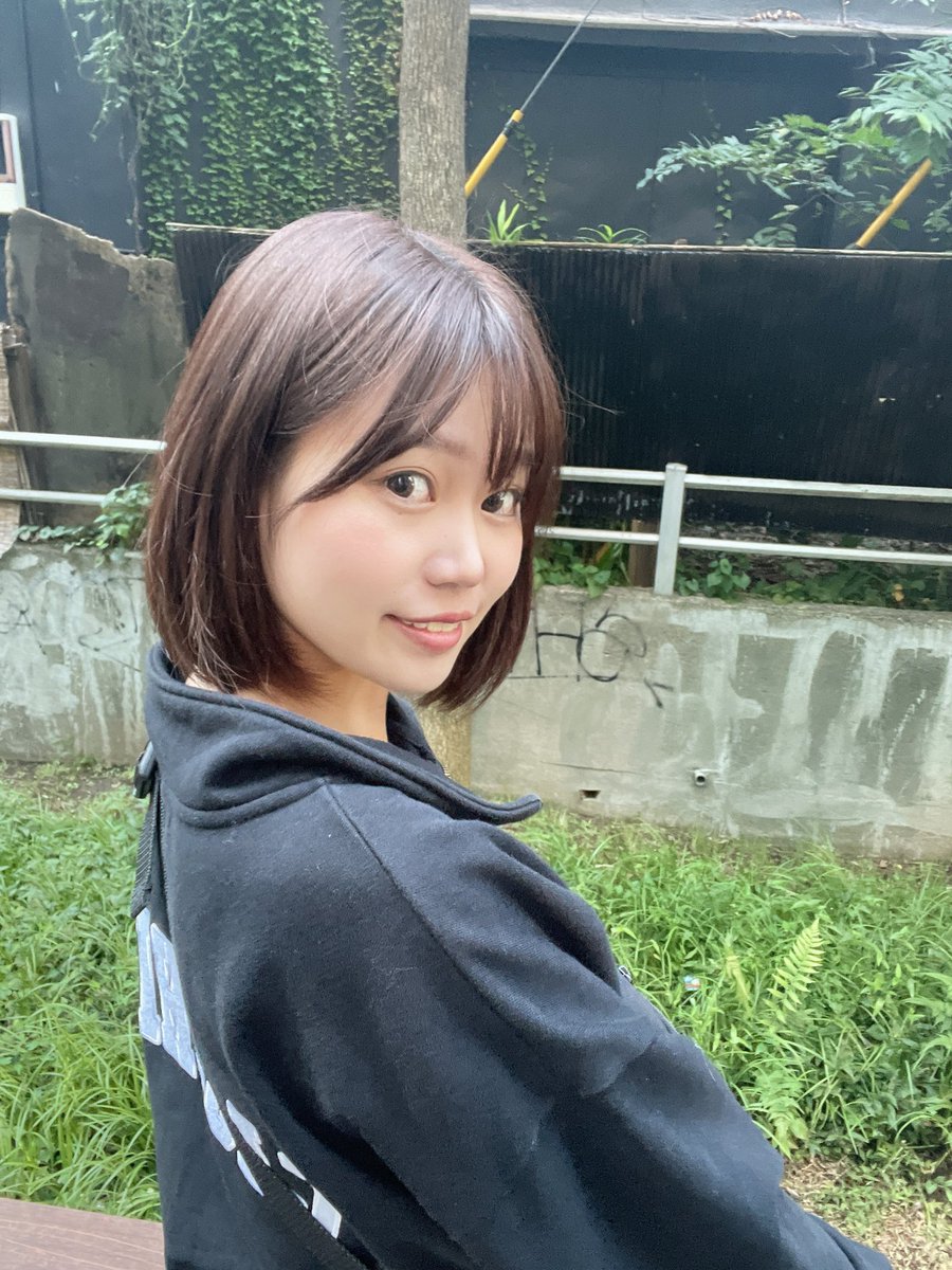 これがこうなるの🐈 https://t.co/lpIsfsW7GI