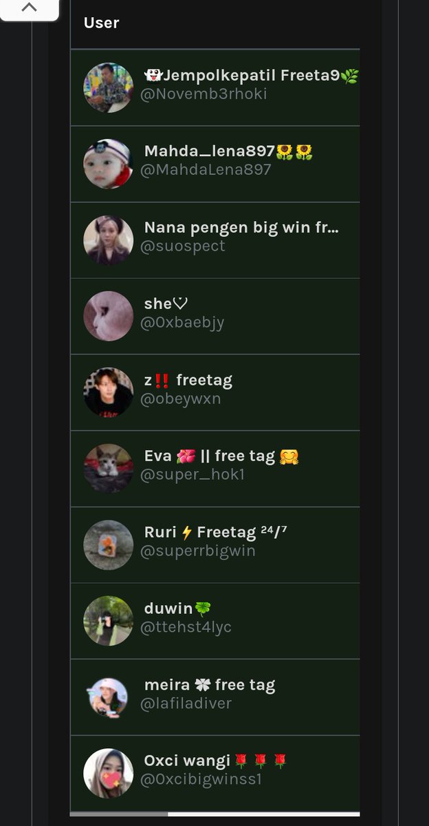 ais / cek profile tweet media