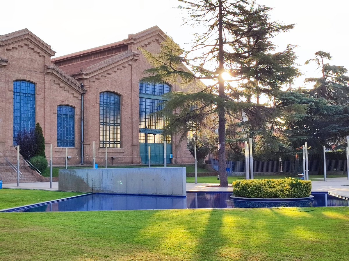 David Rovira tweet media