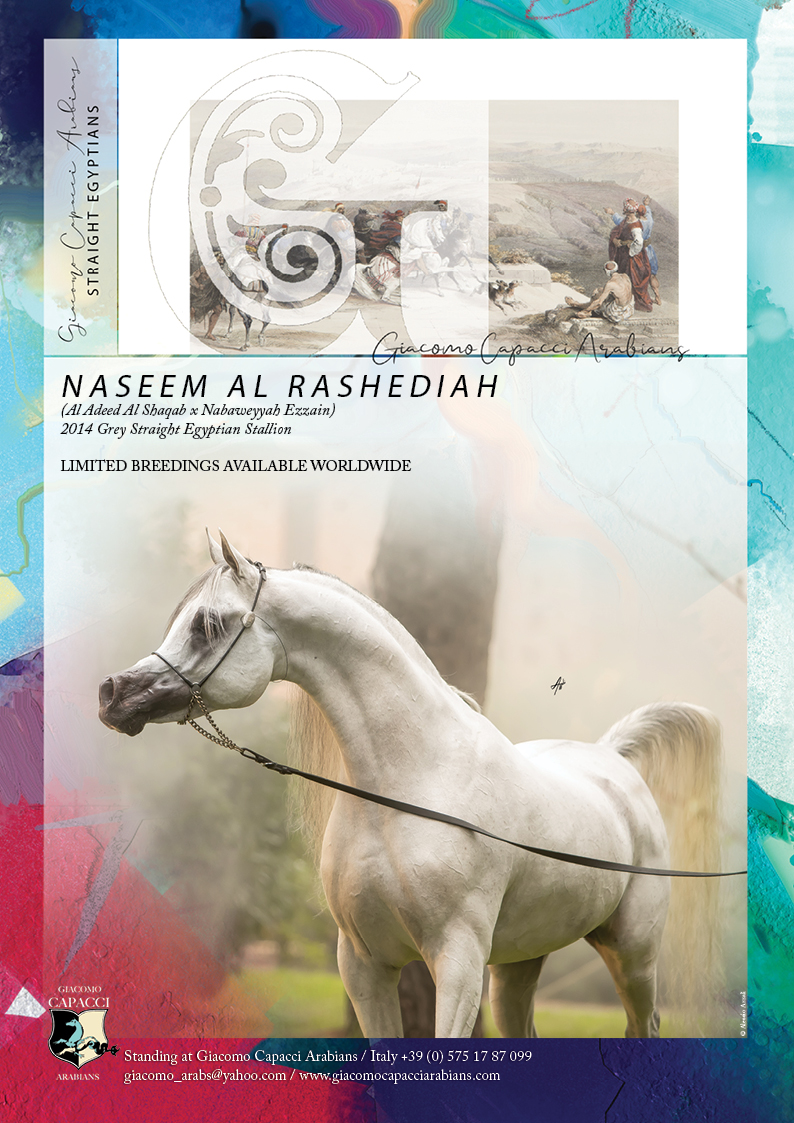 ArabianEssence's tweet photo. Giacomo Capacci Arabians Special SE Selection - NASEEM AL RASHEDIAH
https://t.co/OO5tH5IGus...
Click here to see High Resolution version:
https://t.co/BzLEPgFB9P
#giacomocapacciarabians #straightegyptian #specialselection #naseemalrashediah https://t.co/ppXPtpHnFH
