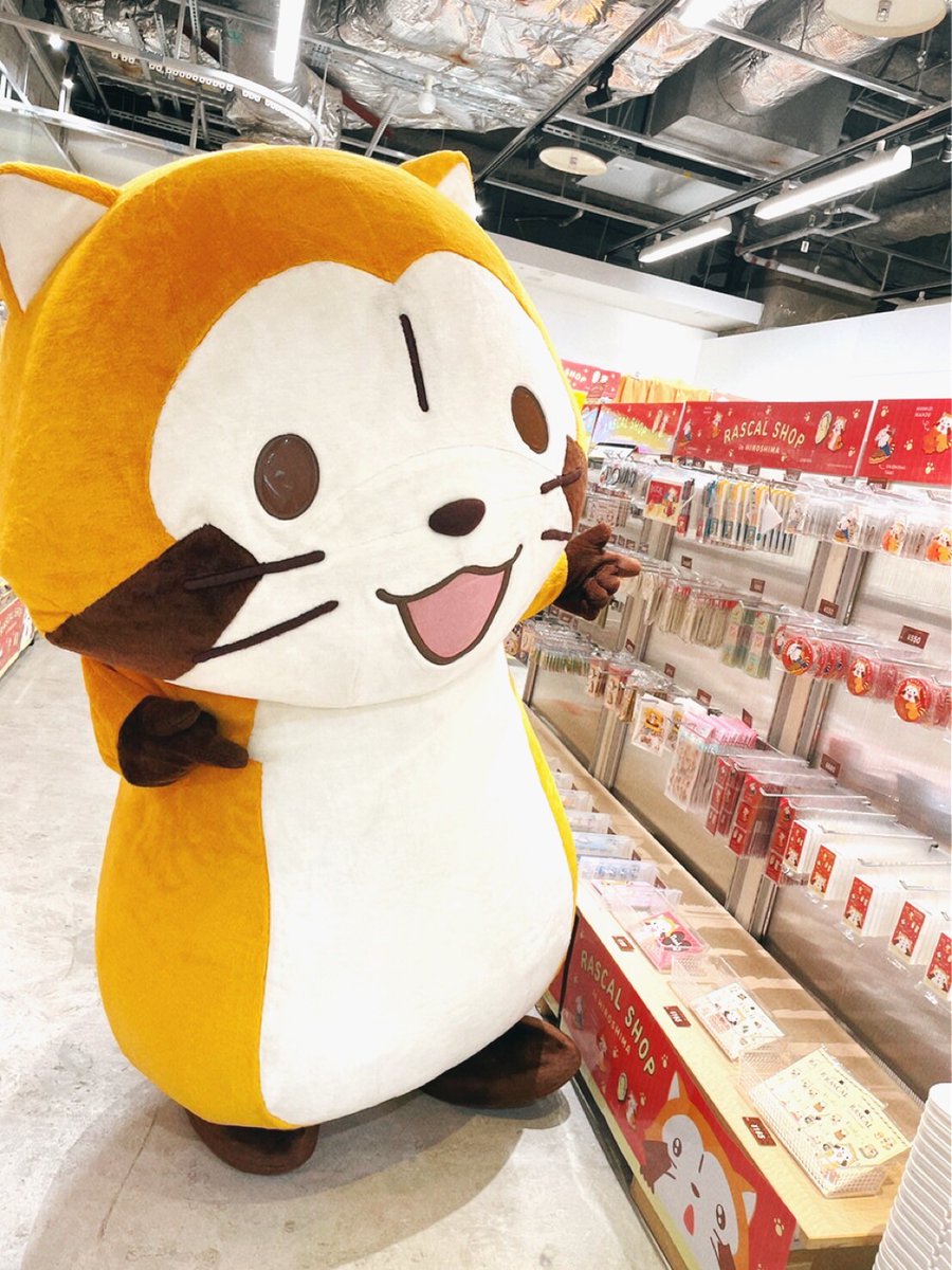 Rascal_Shippo's tweet image. ラスカルのお買い物⑤

ラスカルショップ in広島でお買い物中のラスカル🛒
ラスカルは広島先行販売グッズのエリアに来ました。

ノベルティのステッカーをゲットするためにラスカルが手に取ったのは...

答えはあした！