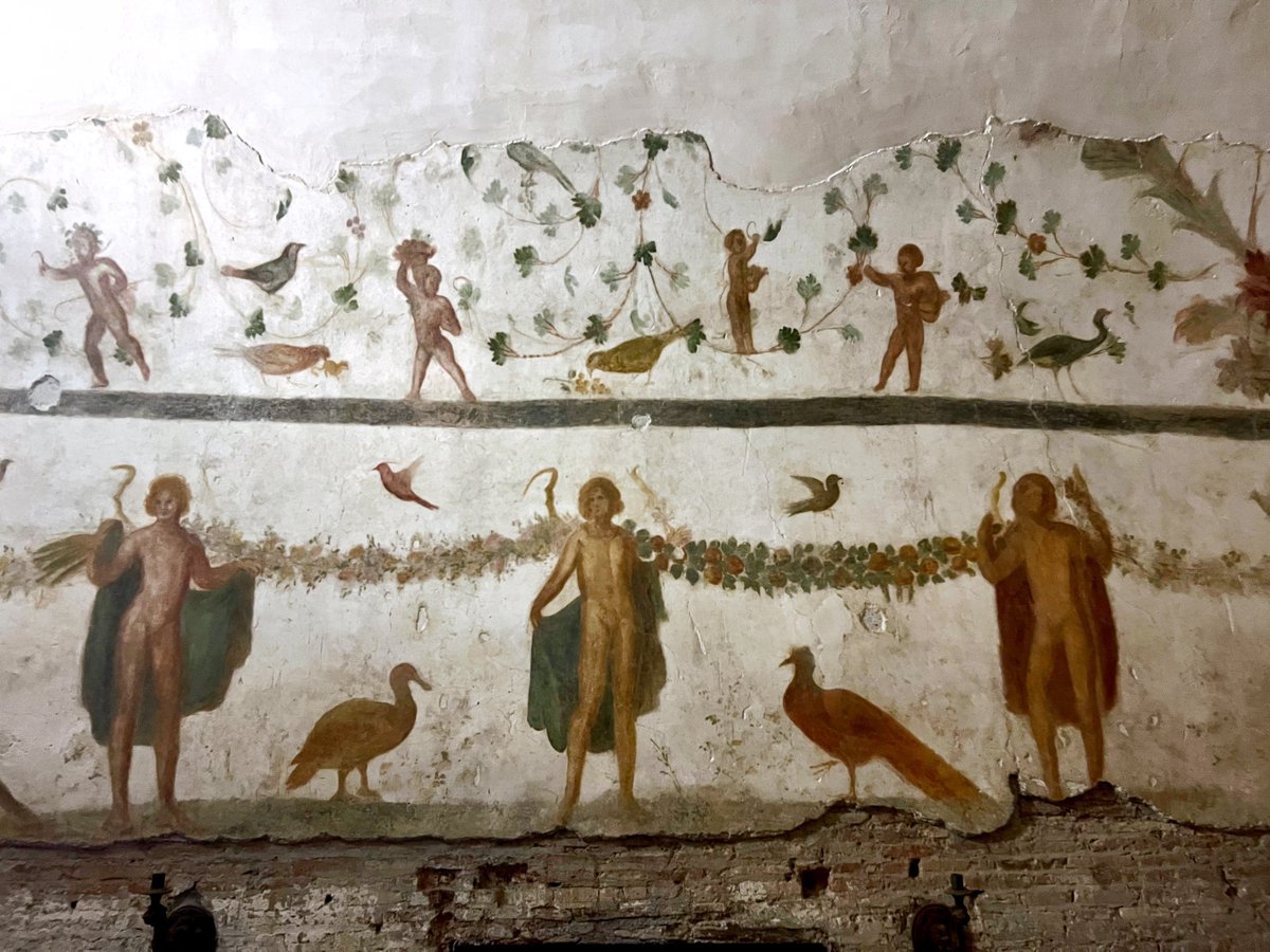 chapps's tweet photo. I *finally* got to visit the Roman houses on the Celian Hill. The property began as an insula with shops and storehouses and evolved into a large single house. In the Room of the Genii, frescoes of winged young men appear with Erotes harvesting grapes and a variety of birds. 1/ https://t.co/DjTf66N3ys