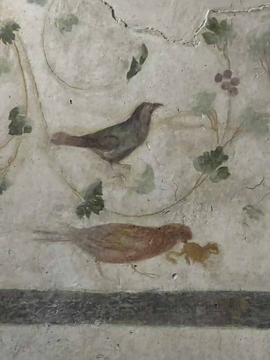 I *finally* got to visit the Roman houses on the Celian Hill. The property began as an insula with shops and storehouses and evolved into a large single house. In the Room of the Genii, frescoes of winged young men appear with Erotes harvesting grapes and a variety of birds. 1/