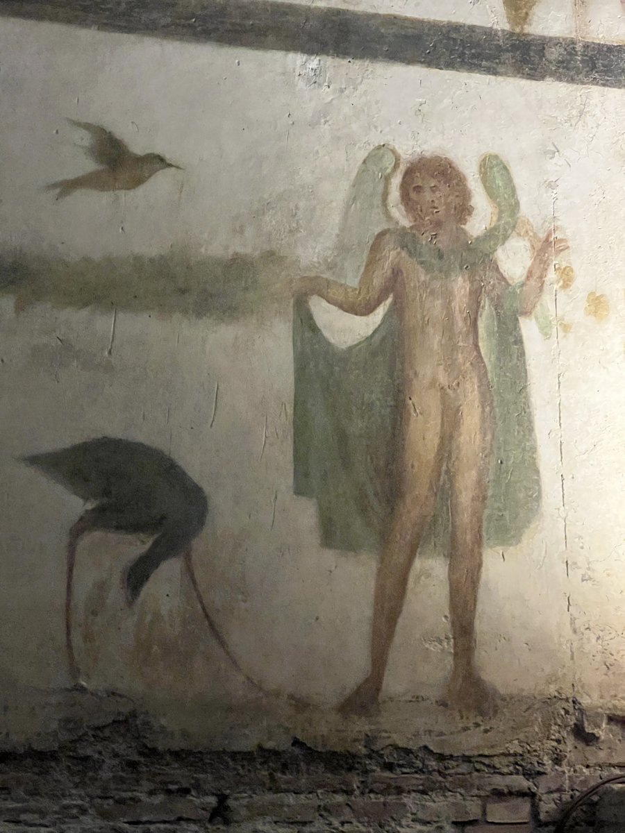 chapps's tweet photo. I *finally* got to visit the Roman houses on the Celian Hill. The property began as an insula with shops and storehouses and evolved into a large single house. In the Room of the Genii, frescoes of winged young men appear with Erotes harvesting grapes and a variety of birds. 1/ https://t.co/DjTf66N3ys