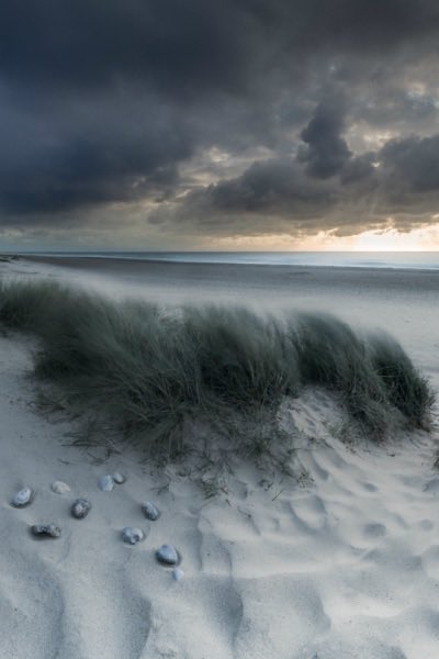 Ph: Lee Acaster
Grigio…
