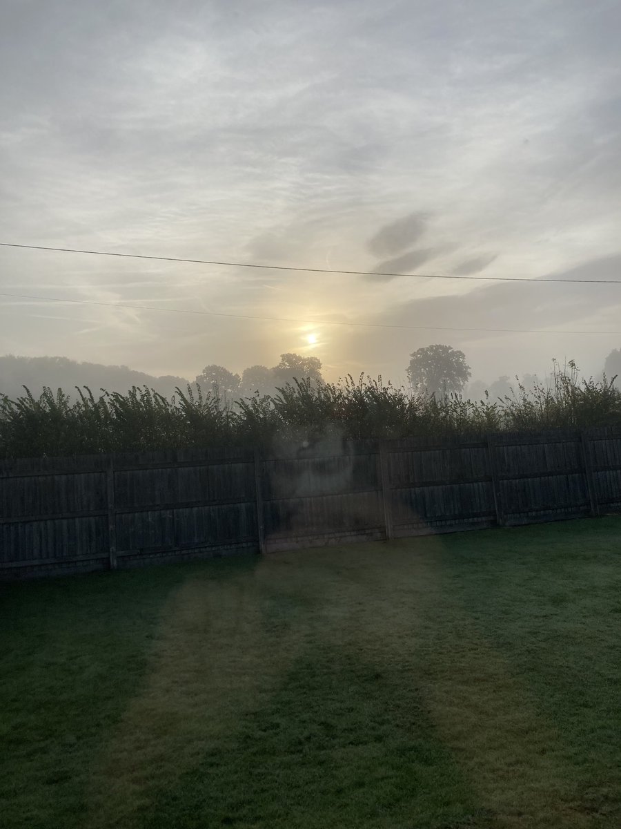 janelottering's tweet image. Misty Cotswolds mornings 🥰