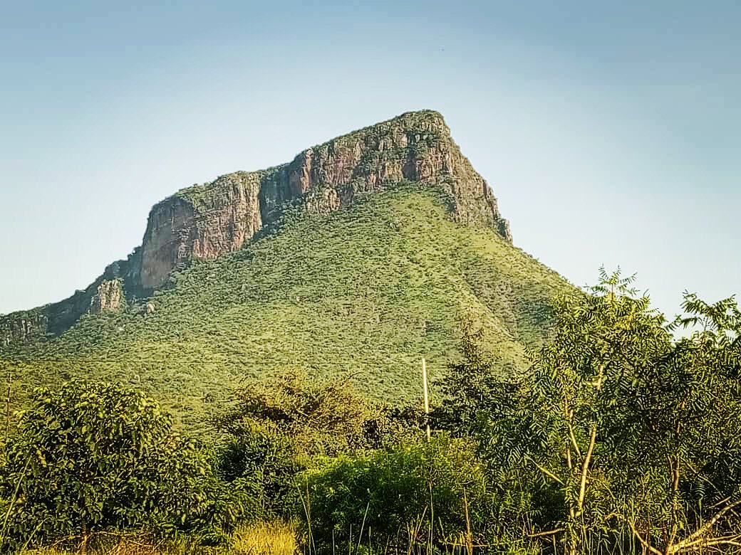 ugandamuseums's tweet photo. #museumtrivia Do you know the role museums play in protecting our natural resources?
#naturalhistory #materialsofearth #minerals #rocks #fossils#geology#paleontology https://t.co/ez5bPmDB2f