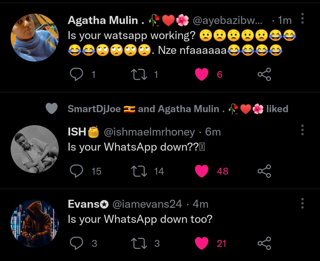 HunchoJack tweet media