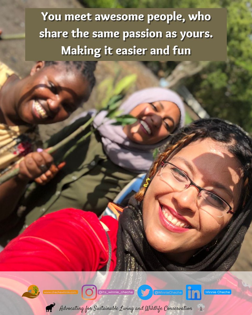 WinnieCheche's tweet photo. Let's Talk about the Joy that comes from Nature

💖You meet awesome people, who share the same passion as yours. Making it easier and more fun

#ClimateAction #Conservation #SustainableLiving #Nature #Friends #Mangrooves https://t.co/aQIIs9FGrj