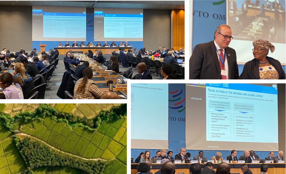 Addressing #FoodSecurity could not be more urgent. @FAO Chief Economist @MaximoTorero made a presentation on the contemporary challenges to #agrifood systems and how trade can play a role at an informal @WTO retreat meeting w/ #WTO Members on #Agriculture