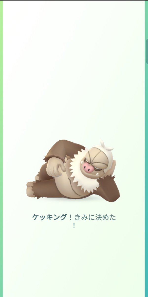 アフォ Afofavorite9981 Twitter アフォ Afofavorite9981 Twitter