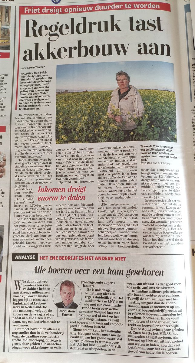 Doeko van'tWesteinde tweet media