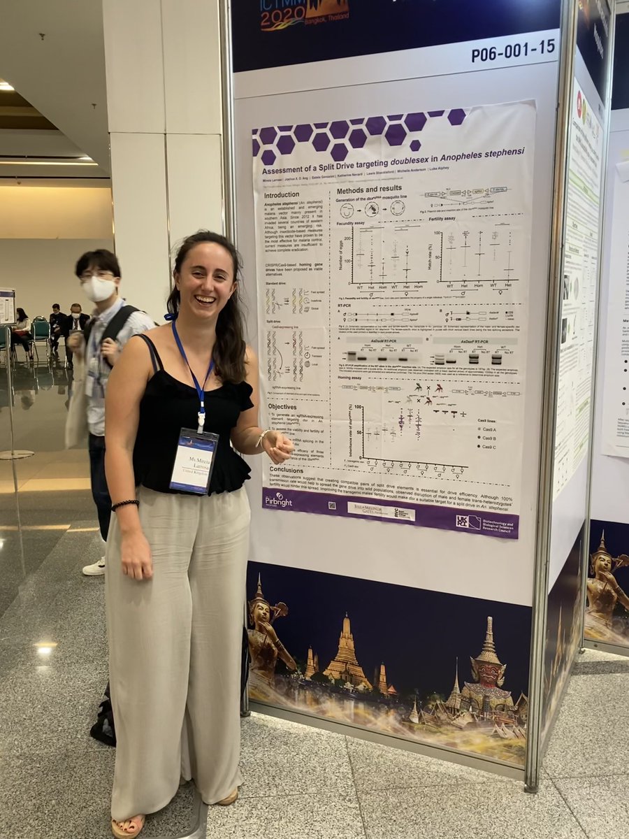 Very happy to be able to present a poster at the <a href="/ictmm2020/">ICTMM2020 Bangkok</a> about our work with gene drives in Anopheles stephensi. <a href="/AlpheyLab/">Alphey Lab</a> <a href="/Pirbright_Inst/">The Pirbright Institute</a>