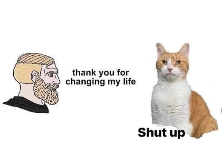 CatJacketDAO's tweet image. 🐈🚨GIVEAWAY!🚨🐈‍⬛

Prize: 
0.75 $Sol 

To enter: 👇
Be a @CatJacketDAO holder, 
RT, Like &amp;amp; tag 3 friends

Ends in 30hours