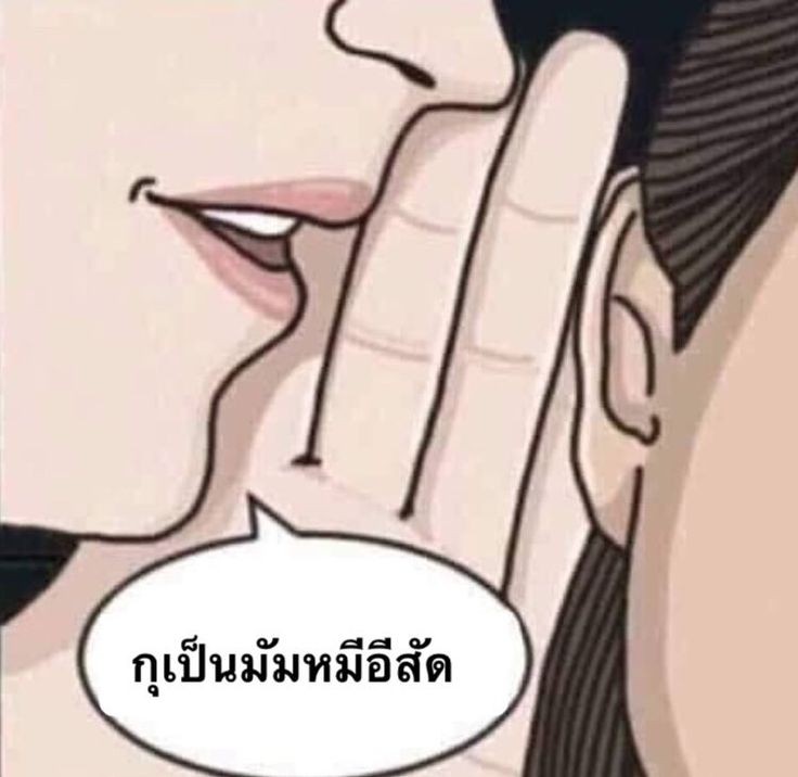 ✨มัมมิปะดิ้ว✨ tweet media
