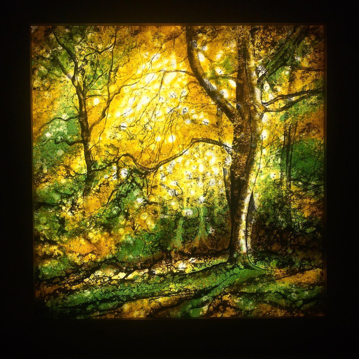 This piece, Autumn's Glow, is my recent fused work, which was a joy to create for a wonderful client who wished for an Autumnal woodland 🌳 

#stainedglassart #bespokedesign #interiordesign #design #interiors #colour  #contemporarystainedglass #glass #craft