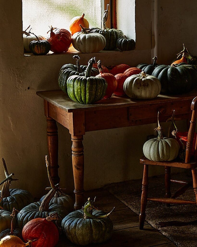 We are making spooky and delicious plans for this weekend’s Samhain Supperclub - think roasted turnip with honey &amp; sesame, a dreamy mushroom soup, meltingly soft chicken with walnuts &amp; pomegranate and a warmly, spicy pumpkin and lentil curry.
No to menti… instagr.am/p/CkIKIrLD3vA/