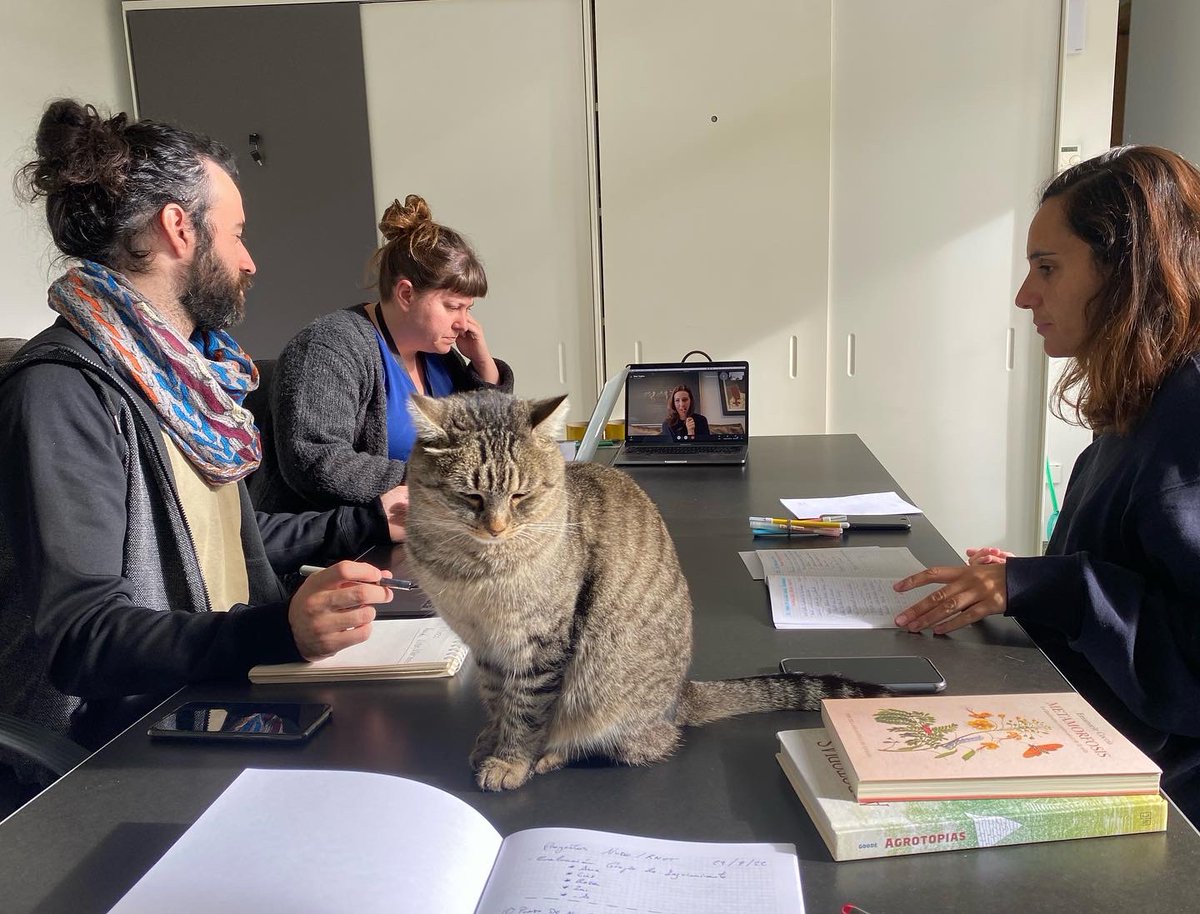 Al vivaquear en montaña siempre se parte de un principio básico: presta atención a las señales, multiplica los sentidos.

+👉🏽instagram.com/p/CkH8cGjDiOh/…

*Sobre #aprendizajes, #visibilidad y #tiempo en un refugio de la montaña de #León, en la ribera del #Porma: Cerezales del Condado.