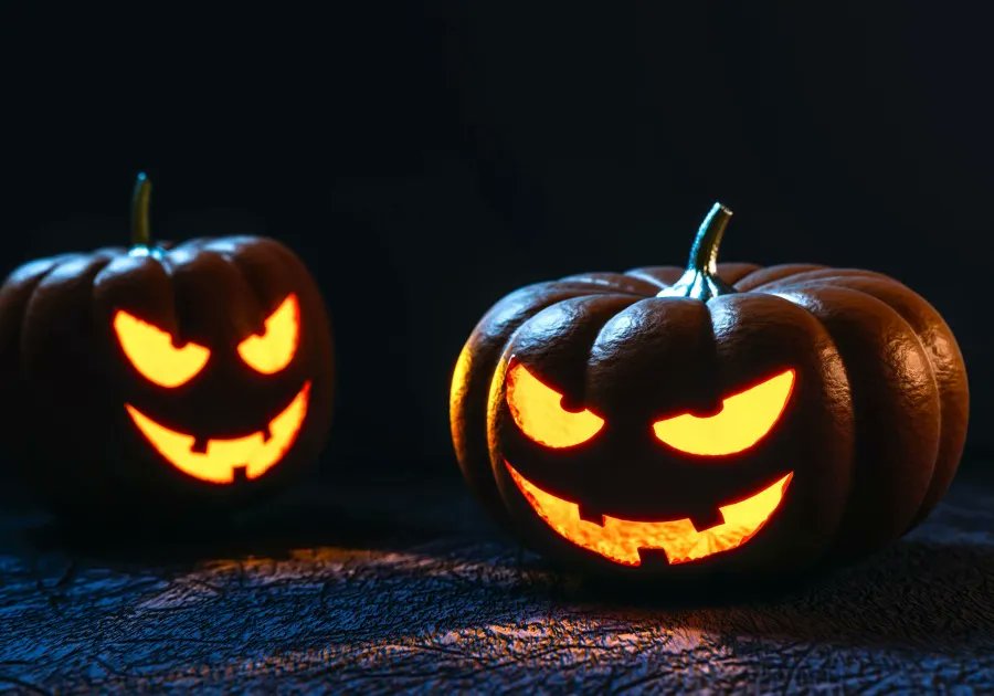 livreshebdo's tweet photo. VITRINE > Halloween : Huit livres et des sueurs froides https://t.co/5ha3ljBIWC

🗣️ À l'approche de la soirée d'Halloween du 31 octobre, Livres Hebdo dresse une bibliographie de polars et de thrillers récemment parus qui font froid dans le dos.

#edition #thriller #halloween https://t.co/blNy1WP4cu