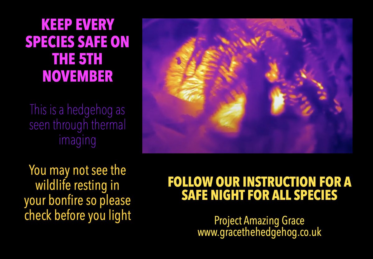 🔥 KEEP EVERY SPECIES SAFE ON THE 5TH NOVEMBER 🔥

Follow our instructions for a wildlife-friendly bonfire here: gracethehedgehog.co.uk/hedgehogs-bonf…