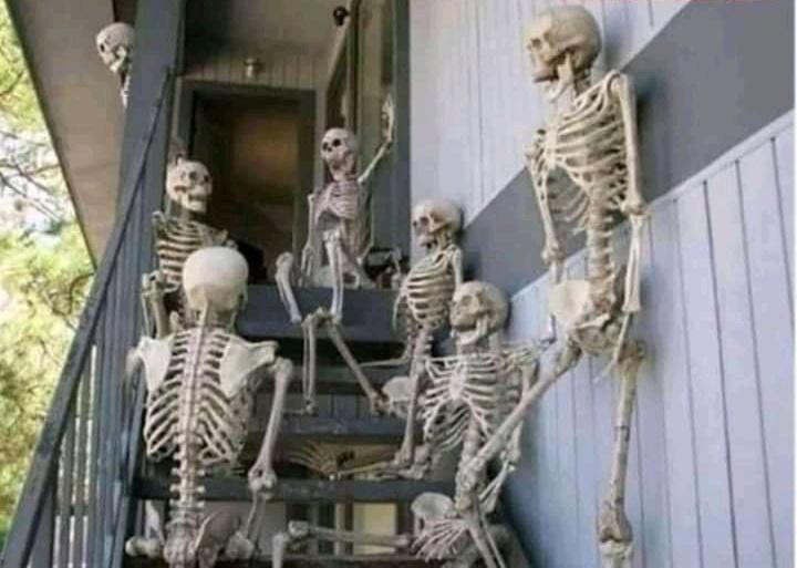 DavisKalema's tweet photo. Whatsapp users who don't have twitter accounts waiting for it to come back on since they have nothing else to do with their life
#whatsappdown https://t.co/Il9Se0iCgi
