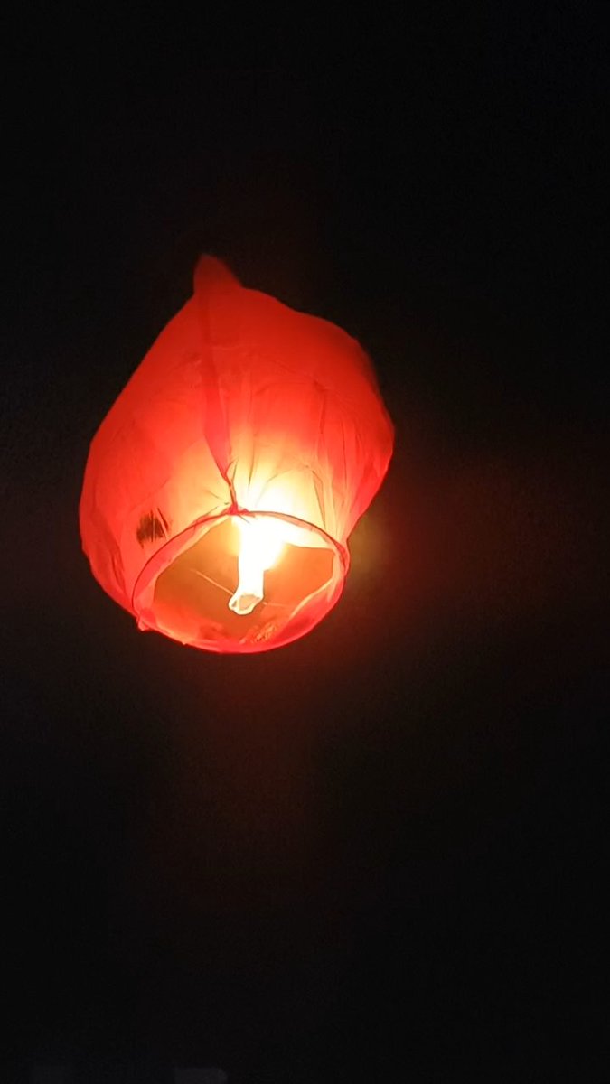 beaches2_m's tweet photo. Let me light up lives with hopes and dreams. Happy Diwali !
@beaches2_m https://t.co/L1u9k6hYoe