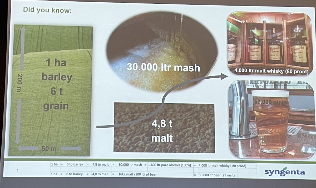 International Barley Hub tweet media