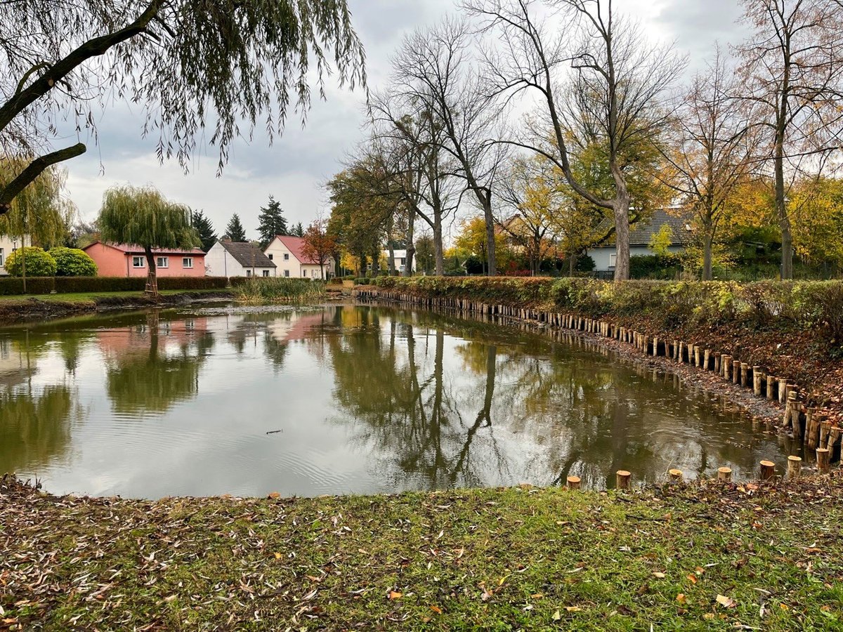 realStahnsdorf's tweet photo. Gewässersanierung gestartet: Vor drei Wochen begannen in #Sputendorf die Sedimententnahme, Gehölzarbeiten und Ufersicherung am #Dorfteich. Spätestens im Februar 2023 soll die gesamte Maßnahme abgeschlossen sein. https://t.co/bvx3yla30y