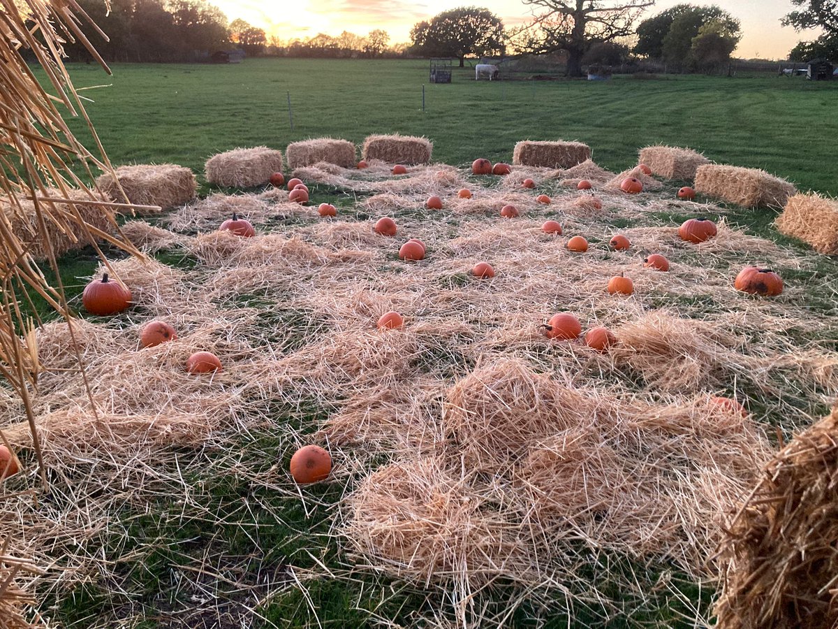 Franklins Farm Shop tweet media