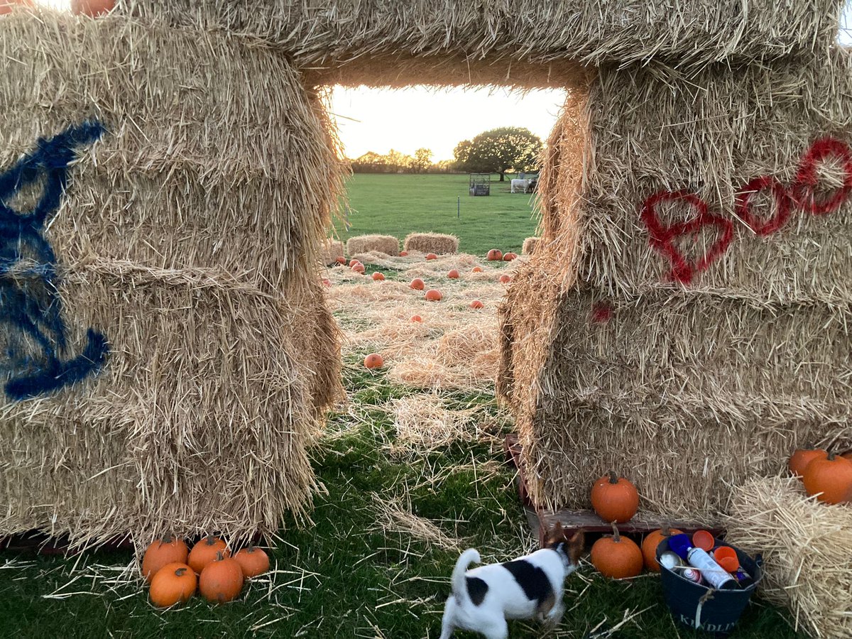 Franklins Farm Shop tweet media