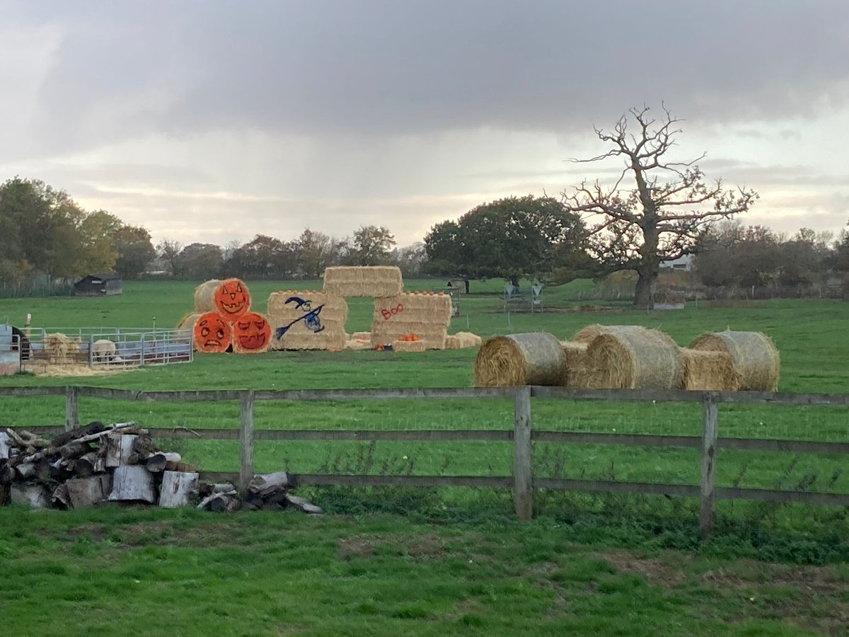 Franklins Farm Shop tweet media