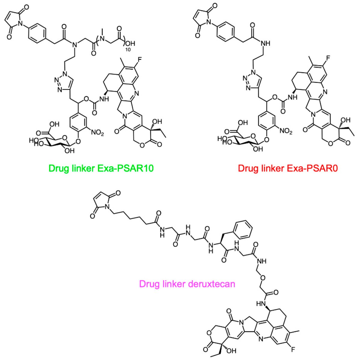 👏Quick reminder of #HighlyCitedPaper by Louise Conilh et al. 'Exatecan #Antibody #DrugConjugates Based on a #Hydrophilic Polysarcosine Drug-Linker Platform' that is available at:

👉mdpi.com/1424-8247/14/3…