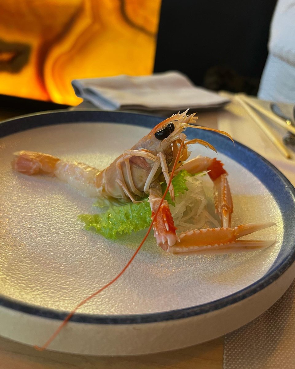 Touchfound_'s tweet photo. My favorite fish for dinner, amazing my friends #fish #scampo #gambero #exotic https://t.co/BQjlYl8oBf