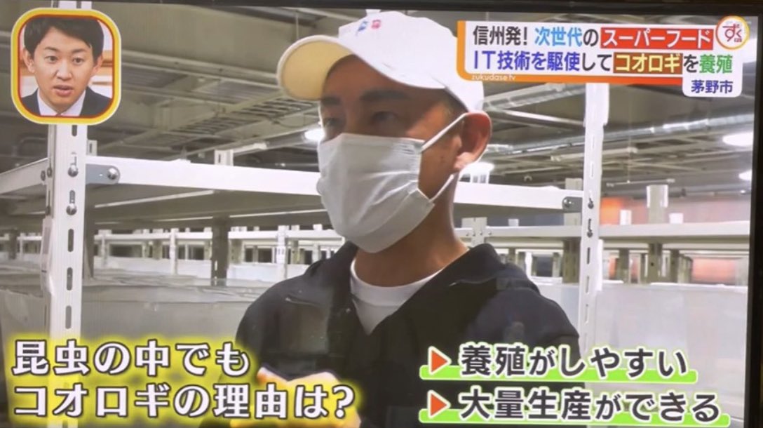 indetailceo's tweet photo. SBC信越放送「ずくだせテレビ」にクリケットファーム茅野養殖場登場‼️
何故、昆虫養殖してるのに臭くない⁉️🦗
クリケットファームのこだわり！
昆虫だからこそ清潔に！
https://t.co/AMng40EKH2
#cricketfarm #クリケットファーム #コオロギ #昆虫 https://t.co/cY4GW6eey3