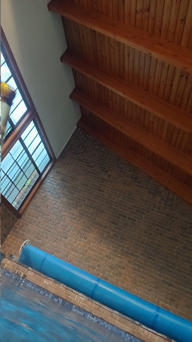 toddthepainter's tweet image. Hey @DustyPee 
Is #poolroof a thing?