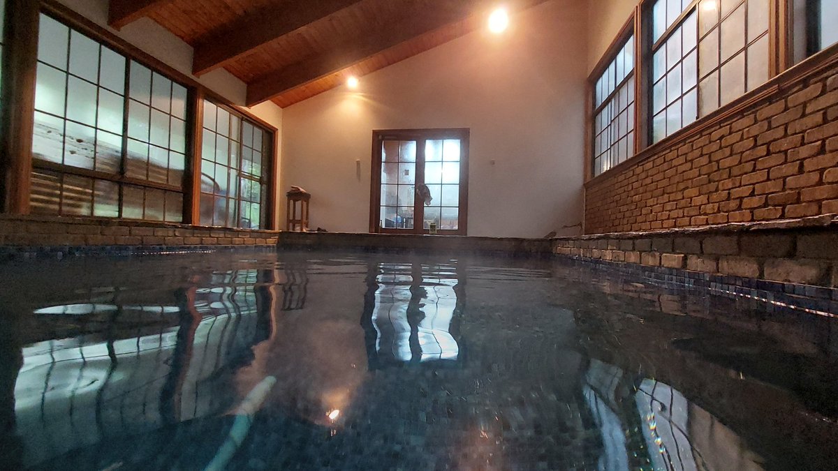 toddthepainter's tweet image. Hey @DustyPee 
Is #poolroof a thing?